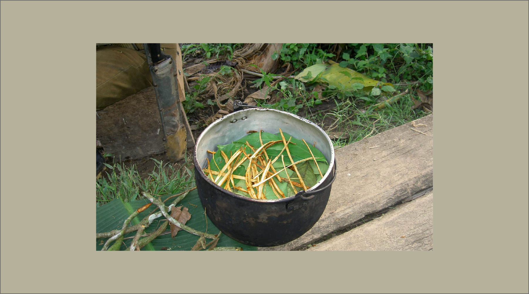What I Remembered When I Drank the Sacred Plant Medicine Ayahuasca