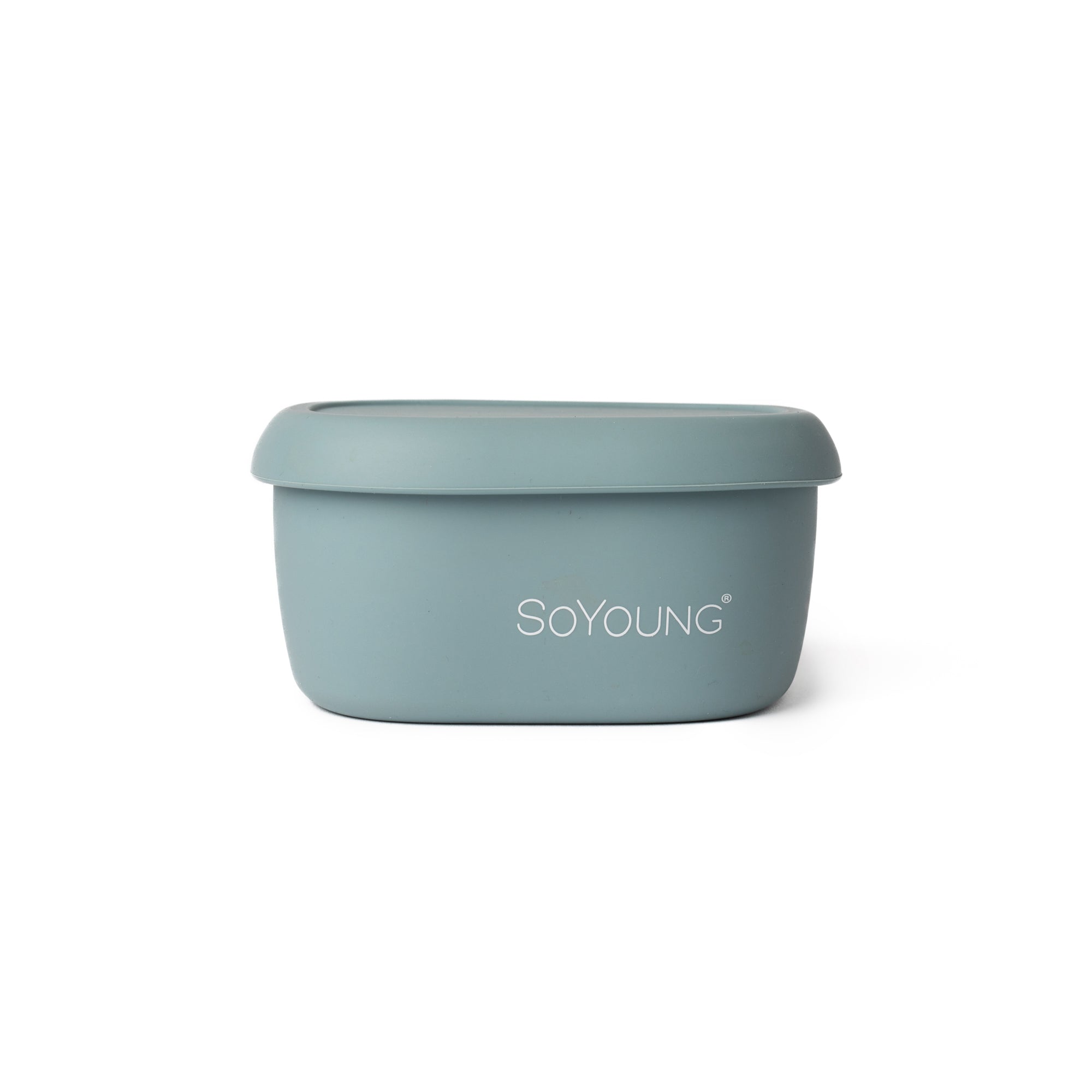 Slate Blue Snack Box - Medium