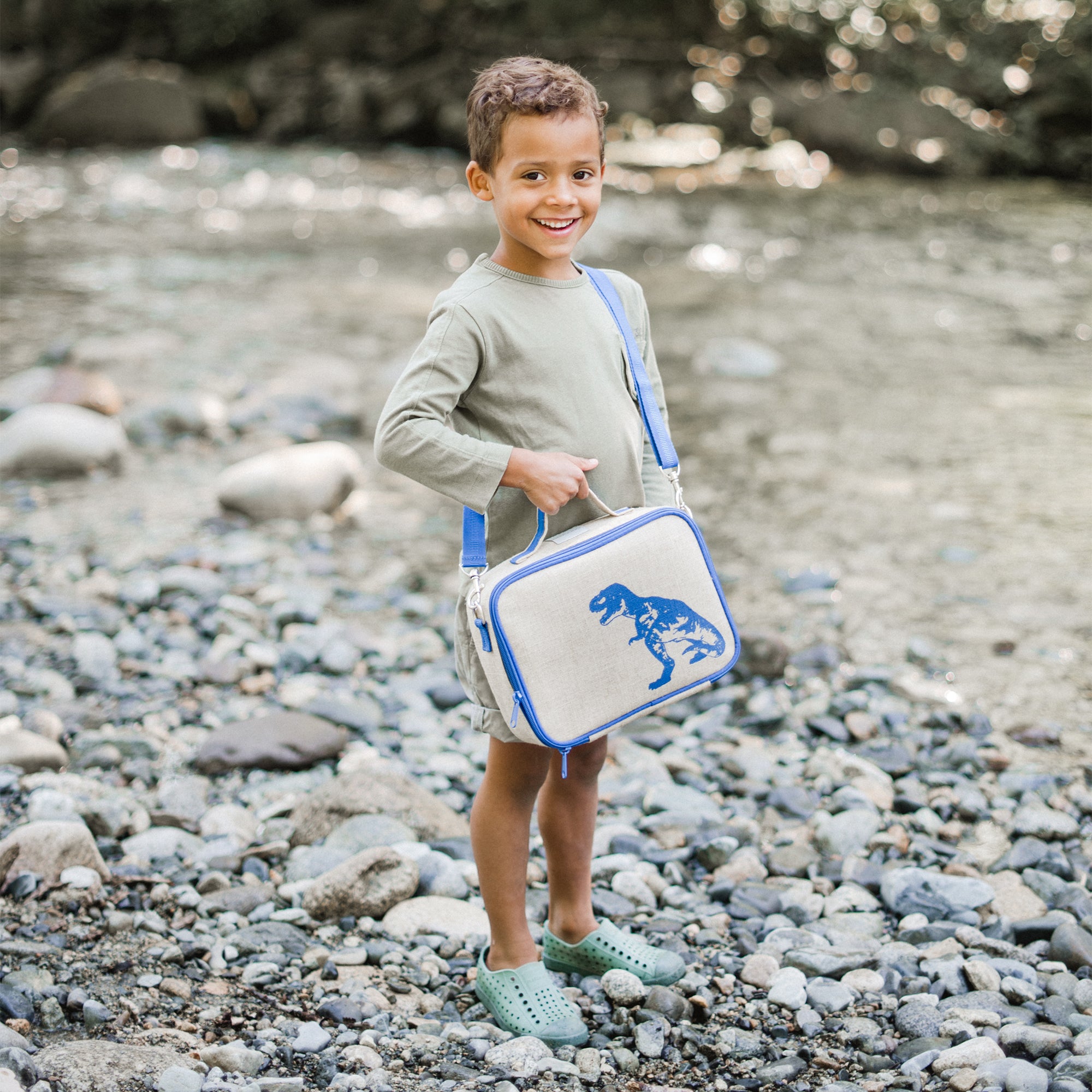 Blue Dino Lunch Box