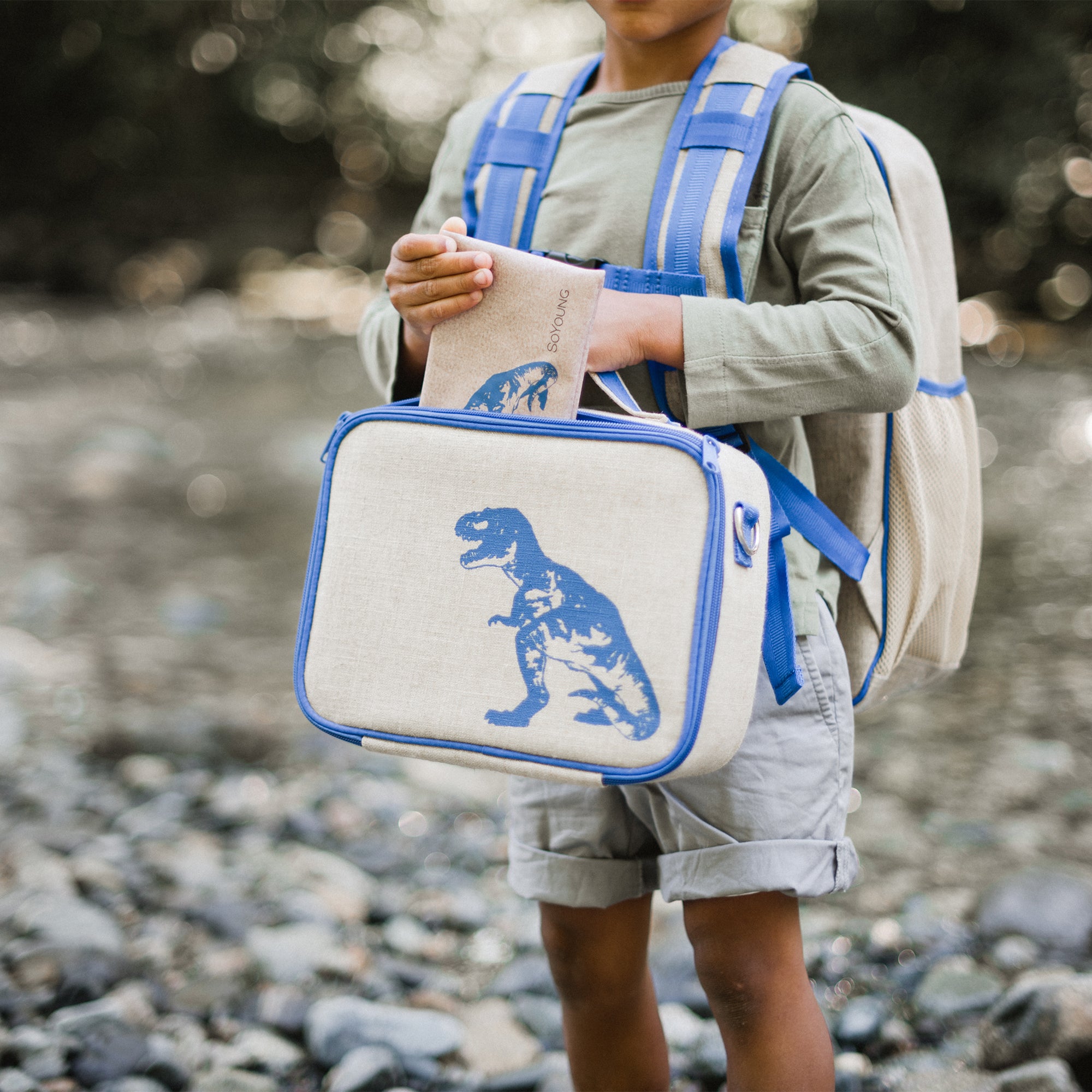 Blue Dino Lunch Box