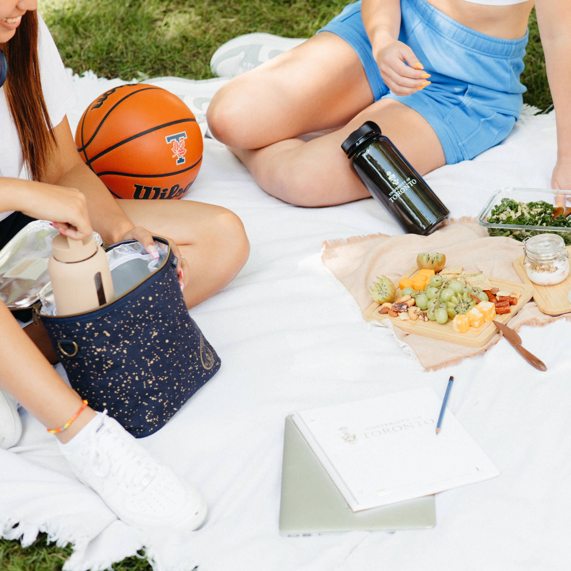 U of T Linen Navy with Gold Splatter Lunch Poche
