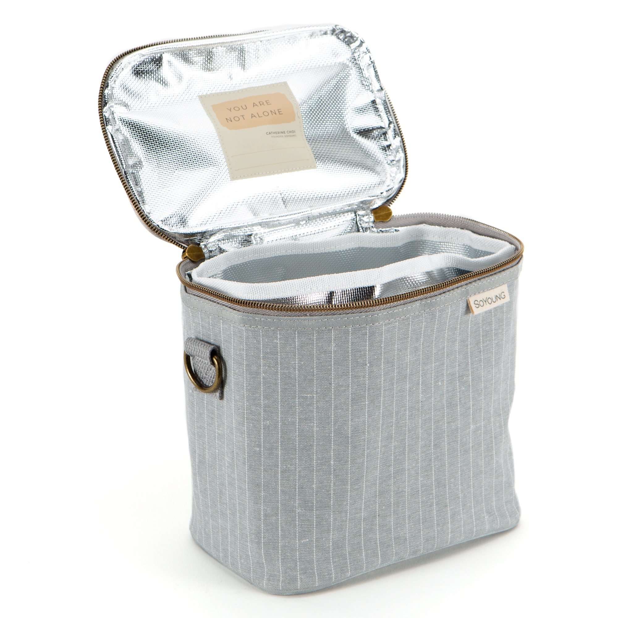 Pinstripe Heather Grey Petite Lunch Poche