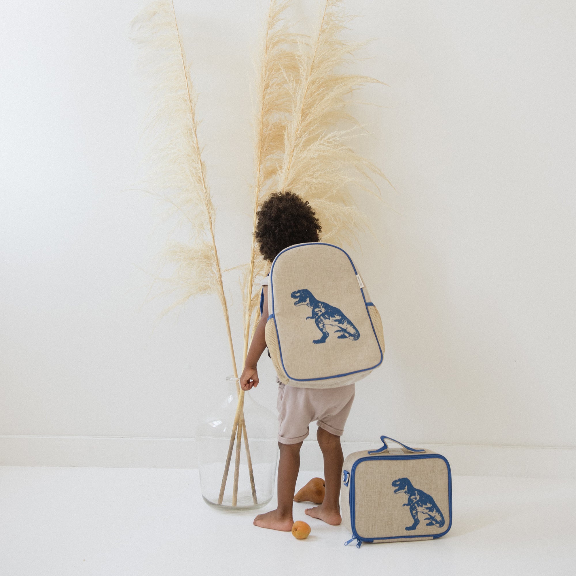 Blue dinosaur backpack best sale